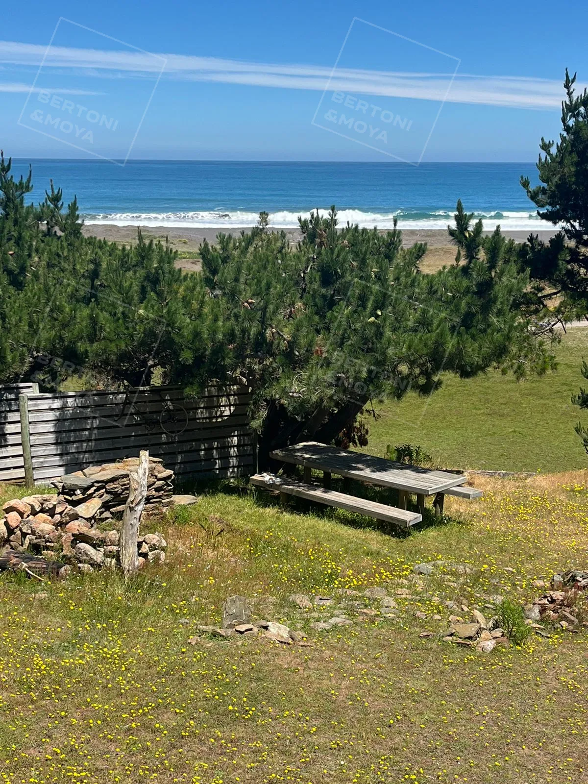 Cabaña Las Cañas, Constitucion — foto 3