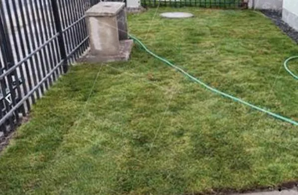 Casa San Valentin en arriendo — foto 6