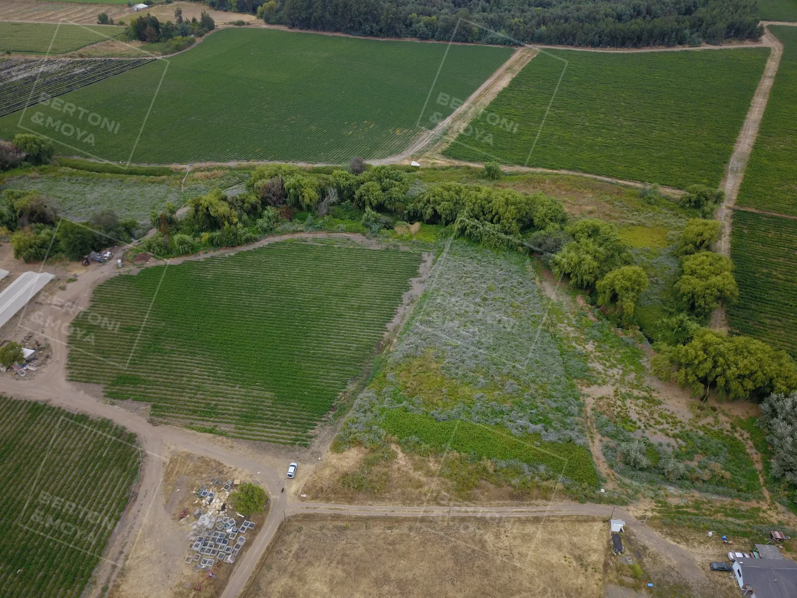 Terreno Providencia, Talca — foto 1