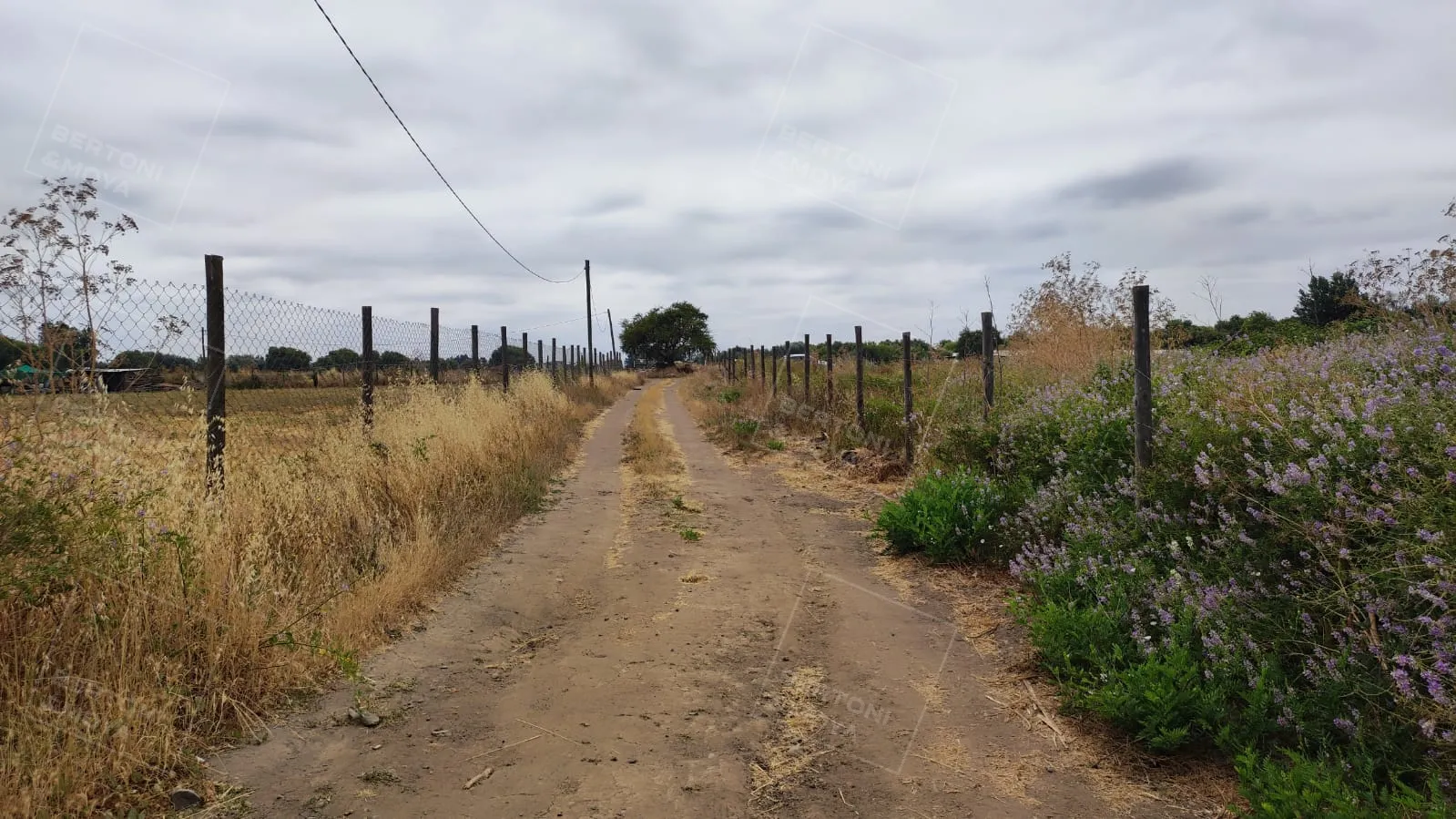 Terreno Providencia, Talca — foto 2